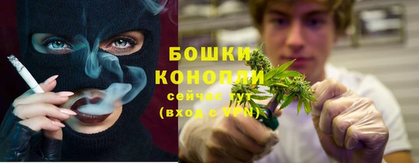 прущая мука Ельня