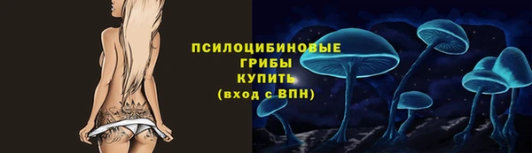 прущая мука Ельня